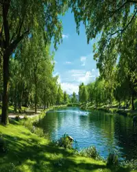 Professional mental health counseling services in Boise Idaho focused on stability and emotional well-being